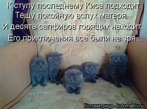 К стулу последнему Киса подходит. Тёщу покойную вслух матеря. И десять сапфиров горящих находит. Его ... Котоматрица: К стулу последнему Киса подходит. Тёщу покойную вслух матеря. И десять сапфиров горящих находит. Его приключения все были не зря...