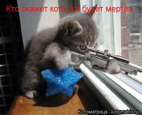 Кто скажет котэ тот будет мертвэ... Котоматрица: Кто скажет котэ тот будет мертвэ