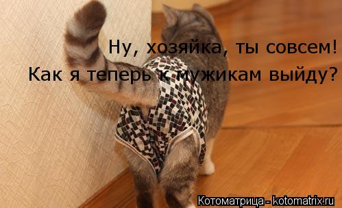 Котоматрица: Ну, хозяйка, ты совсем!  Как я теперь к мужикам выйду?