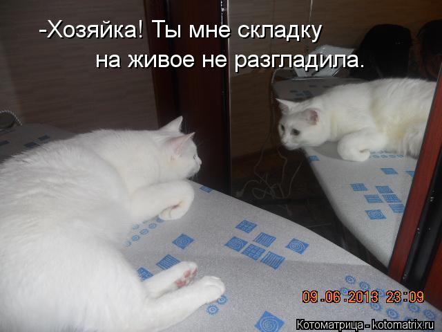 Котоматрица: -Хозяйка! Ты мне складку  на живое не разгладила.