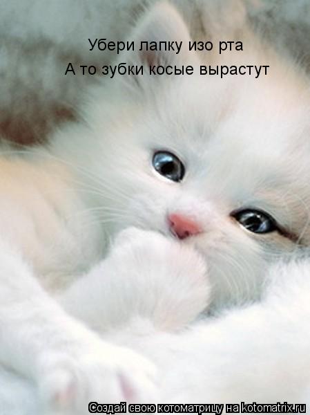 Убери лапку изо рта А то зубки косые вырастут... Котоматрица: Убери лапку изо рта А то зубки косые вырастут