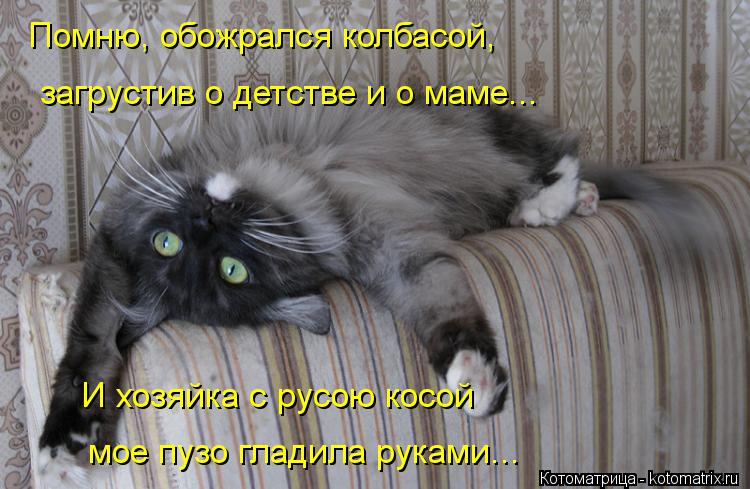 Помню, обожрался колбасой, загрустив о детстве и о маме... мое пузо гладила руками... И хозяйка с ру... Котоматрица: Помню, обожрался колбасой, загрустив о детстве и о маме... мое пузо гладила руками... И хозяйка с русою косой