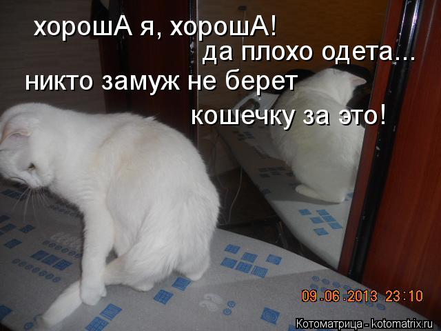 Котоматрица: хорошА я, хорошА! да плохо одета... никто замуж не берет кошечку за это!