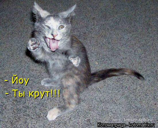 Котоматрица: - Ты крут!!! - Йоу
