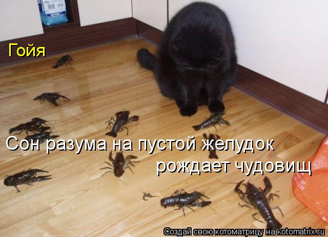Котоматрица: рождает чудовищ Сон разума на пустой желудок Гойя