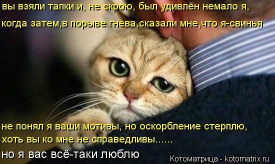 http://kotomatrix.ru/images/lolz/2013/06/11/kotomatritsa_J.jpg