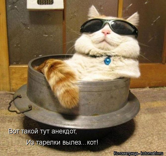Вот такой тут анекдот, Из тарелки вылез...кот!... Котоматрица: Вот такой тут анекдот, Из тарелки вылез...кот!