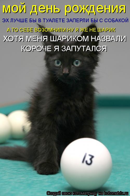 Котоматрица: мой день рождения ЭХ ЛУЧШЕ БЫ В ТУАЛЕТЕ ЗАПЕРЛИ БЫ С СОБАКОЙ А ТО СЕБЕ ВОЗОМНИЛИ:НУ Я ЖЕ НЕ ШАРИК ХОТЯ МЕНЯ ШАРИКОМ НАЗВАЛИ КОРОЧЕ Я ЗАПУТАЛС