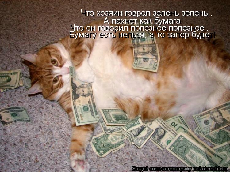 Что хозяин говрол зелень зелень.. А пахнет как бумага Что он говорил полезное полезное.. Бумагу есть ... Котоматрица: Что хозяин говрол зелень зелень.. А пахнет как бумага Что он говорил полезное полезное.. Бумагу есть нельзя, а то запор будет!