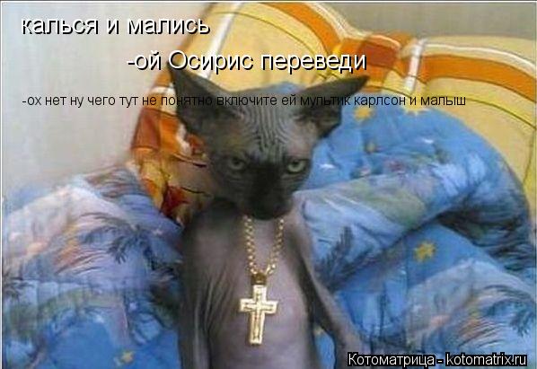 калься и мались -ой Осирис переведи -ох нет ну чего тут не понятно включите ей мультик карлсон и мал... Котоматрица: калься и мались -ой Осирис переведи -ох нет ну чего тут не понятно включите ей мультик карлсон и малыш