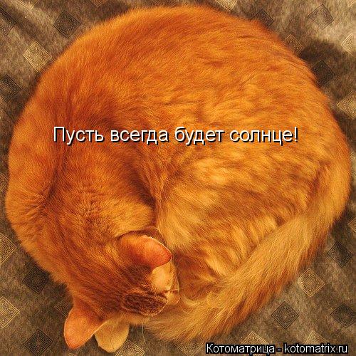 Пусть всегда будет солнце!... Котоматрица: Пусть всегда будет солнце!