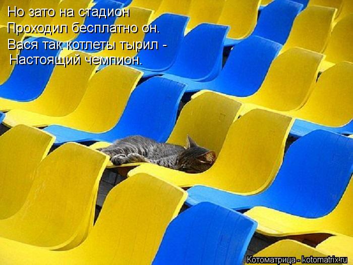 Но зато на стадион Проходил бесплатно он. Вася так котлеты тырил - Настоящий чемпион.... Котоматрица: Но зато на стадион Проходил бесплатно он. Вася так котлеты тырил - Настоящий чемпион.