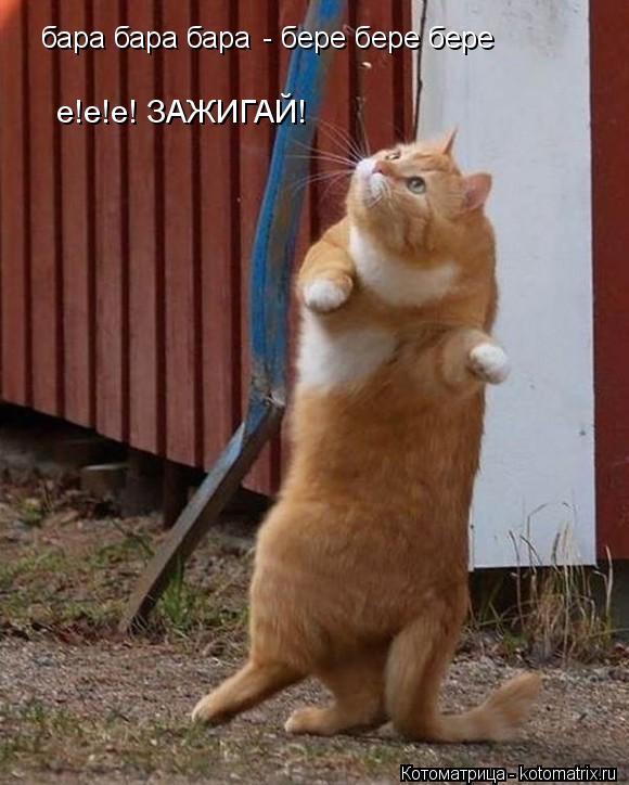 бара бара бара - бере бере бере е!е!е! ЗАЖИГАЙ!... Котоматрица: бара бара бара - бере бере бере е!е!е! ЗАЖИГАЙ!