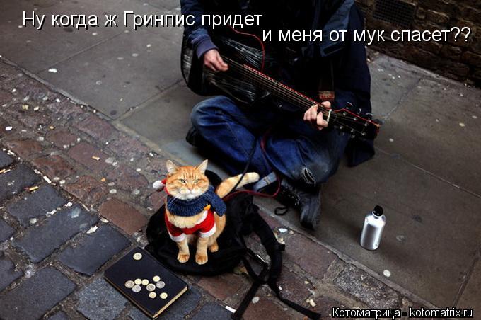 Ну когда ж Гринпис придет и меня от мук спасет??... Котоматрица: Ну когда ж Гринпис придет и меня от мук спасет??