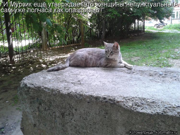"И Мурзик ещё утверждает,что женщины непунктуальны!А сам уже полчаса как опаздывает!"... Котоматрица: "И Мурзик ещё утверждает,что женщины непунктуальны!А сам уже полчаса как опаздывает!"