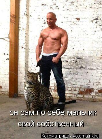 Котоматрица: он сам по себе мальчик свой собственный