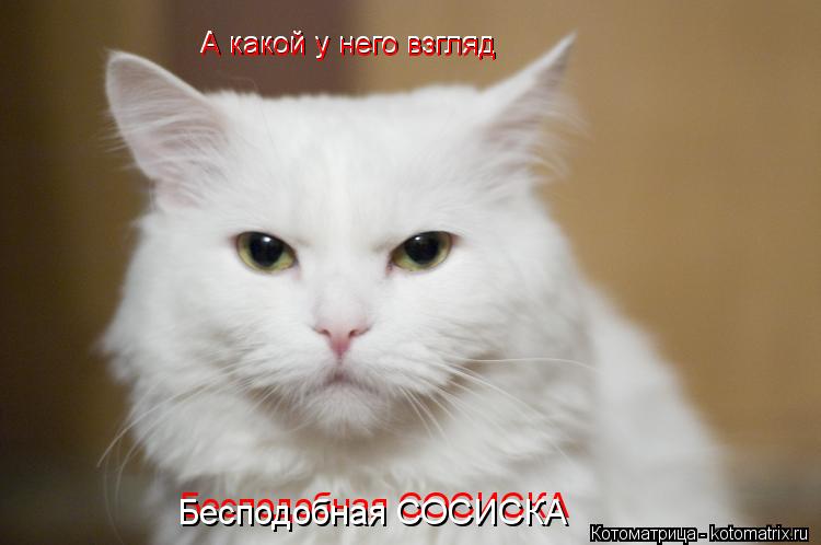 Котоматрица: А какой у него взгляд А какой у него взгляд Бесподобная СОСИСКА Бесподобная СОСИСКА