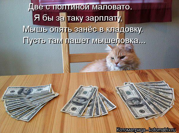 Котоматрица: Две с полтиной маловато.  Я бы за таку зарплату, Мышь опять занёс в кладовку. Пусть там пашет мышеловка...