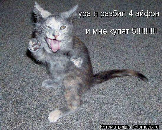 ура я разбил 4 айфон и мне купят 5!!!!!!!!!... Котоматрица: ура я разбил 4 айфон и мне купят 5!!!!!!!!!
