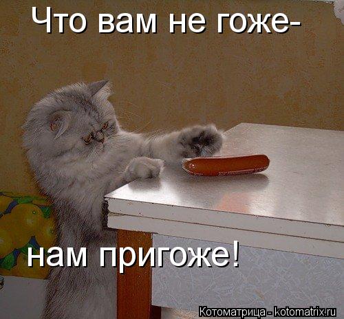 Котоматрица: Что вам не гоже- нам пригоже!