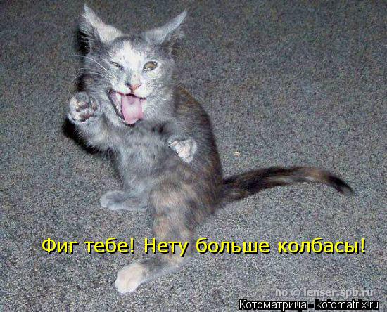 Котоматрица: Фиг тебе! Нету больше колбасы!
