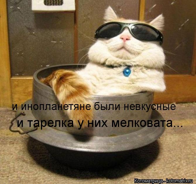 Котоматрица: и инопланетяне были невкусные и тарелка у них мелковата...