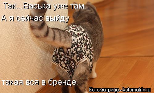 Так...Васька уже там. А я сейчас выйду такая вся в бренде.... Котоматрица: Так...Васька уже там. А я сейчас выйду такая вся в бренде.