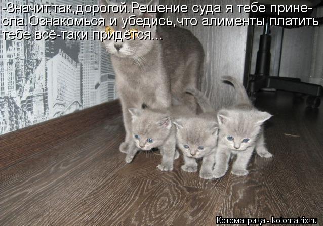 -Значит,так,дорогой.Решение суда я тебе прине- сла.Ознакомься и убедись,что алименты платить тебе всё... Котоматрица: -Значит,так,дорогой.Решение суда я тебе прине- сла.Ознакомься и убедись,что алименты платить тебе всё-таки придётся...