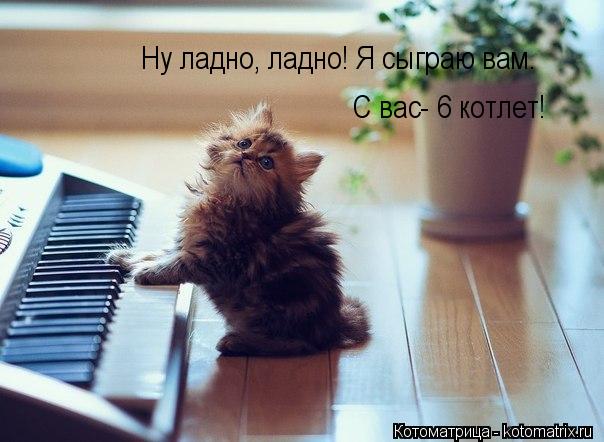 Котоматрица: Ну ладно, ладно! Я сыграю вам.  С вас- 6 котлет!