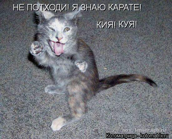НЕ ПОТХОДИ! Я ЗНАЮ КАРАТЕ! КИЯ! КУЯ!... Котоматрица: НЕ ПОТХОДИ! Я ЗНАЮ КАРАТЕ! КИЯ! КУЯ!