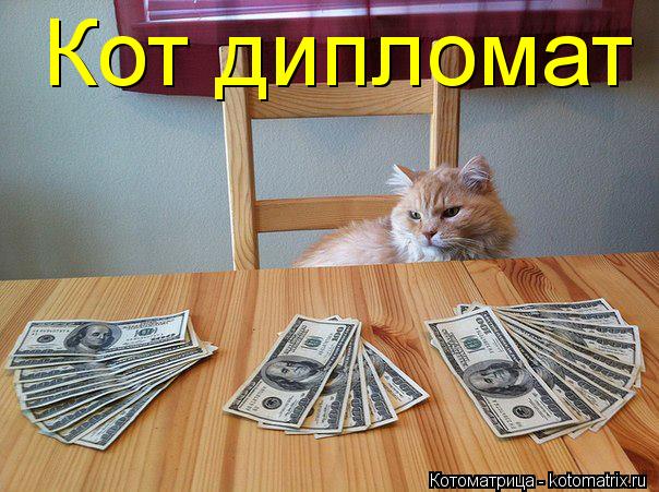 Котоматрица: Кот дипломат