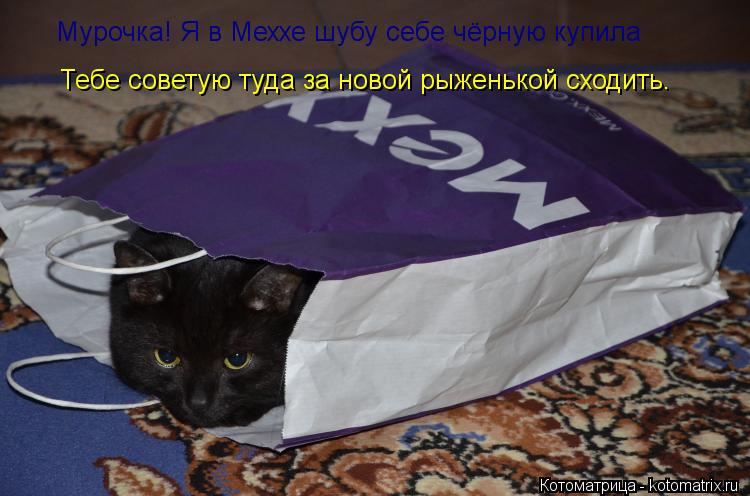 Мурочка! Я в Меххе шубу себе чёрную купила Тебе советую туда за новой рыженькой сходить.... Котоматрица: Мурочка! Я в Меххе шубу себе чёрную купила Тебе советую туда за новой рыженькой сходить.