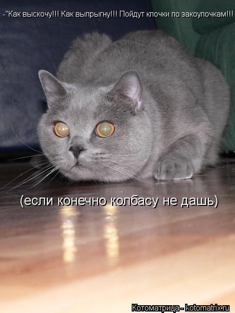 -"Как выскочу!!! Как выпрыгну!!! Пойдут клочки по закоулочкам!!! (если конечно колбасу не дашь)... Котоматрица: -"Как выскочу!!! Как выпрыгну!!! Пойдут клочки по закоулочкам!!! (если конечно колбасу не дашь)