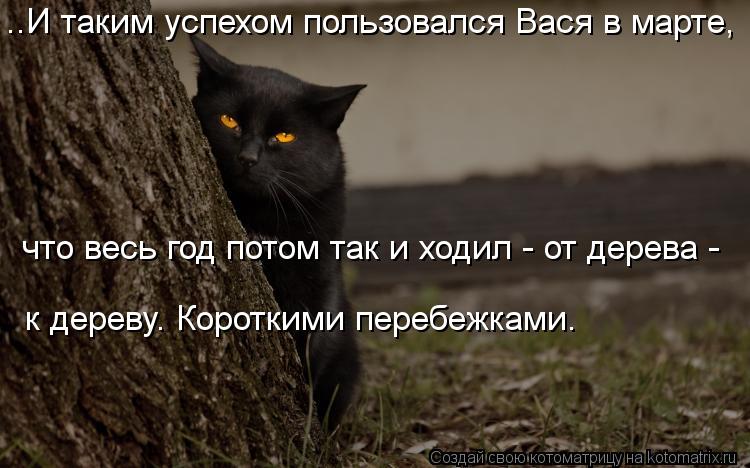 ..И таким успехом пользовался Вася в марте, что весь год потом так и ходил - от дерева - к дереву. Ко... Котоматрица: ..И таким успехом пользовался Вася в марте, что весь год потом так и ходил - от дерева - к дереву. Короткими перебежками.