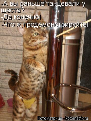 -А вы раньше танцевали у шеста? -Да,конечно! -Что ж,продемонстрируйте!... Котоматрица: -А вы раньше танцевали у шеста? -Да,конечно! -Что ж,продемонстрируйте!