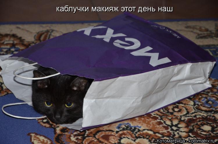 Котоматрица: каблучки макияж этот день наш каблучки макияж этот день наш