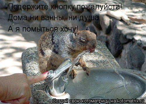 -Подержите кнопку,пожалуйста! Дома ни ванны, ни душа, А я помыться хочу!... Котоматрица: -Подержите кнопку,пожалуйста! Дома ни ванны, ни душа, А я помыться хочу!