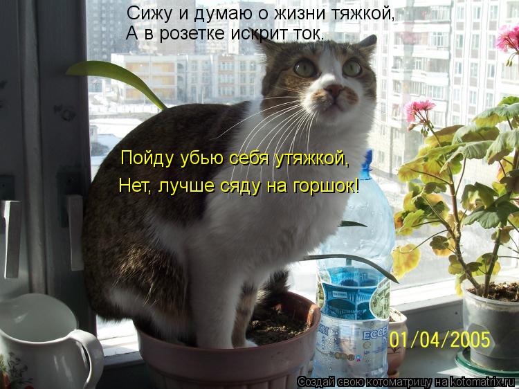 Сижу и думаю о жизни тяжкой , А в розетке искрит ток. Пойду убью себя утяжкой, Нет, лучше сяду на гор... Котоматрица: Сижу и думаю о жизни тяжкой , А в розетке искрит ток. Пойду убью себя утяжкой, Нет, лучше сяду на горшок!