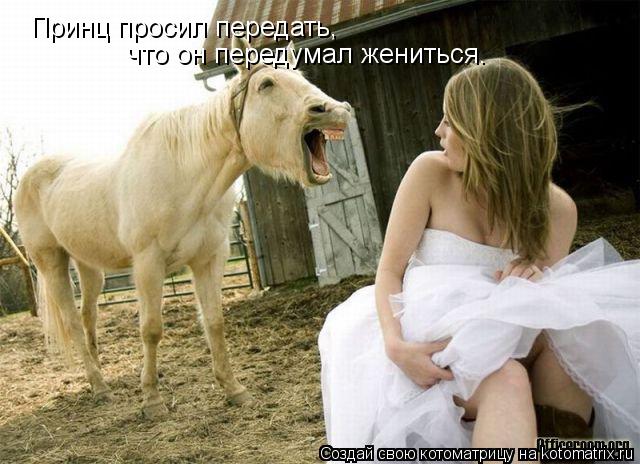 Котоматрица: Принц просил передать, что он передумал жениться.