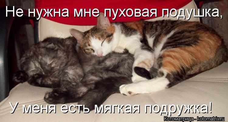 Котоматрица: Не нужна мне пуховая подушка, У меня есть мягкая подружка!
