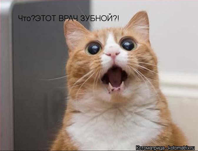 Котоматрица: Что?ЭТОТ ВРАЧ ЗУБНОЙ?!