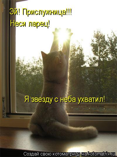 Эй! Прислужница!!! Неси ларец! Я звезду с неба ухватил!... Котоматрица: Эй! Прислужница!!! Неси ларец! Я звезду с неба ухватил!