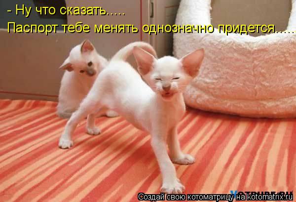 Котоматрица: - Ну что сказать..... Паспорт тебе менять однозначно придется..........