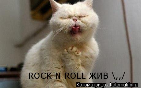 Котоматрица: ROCK N ROLL ЖИВ \,,/