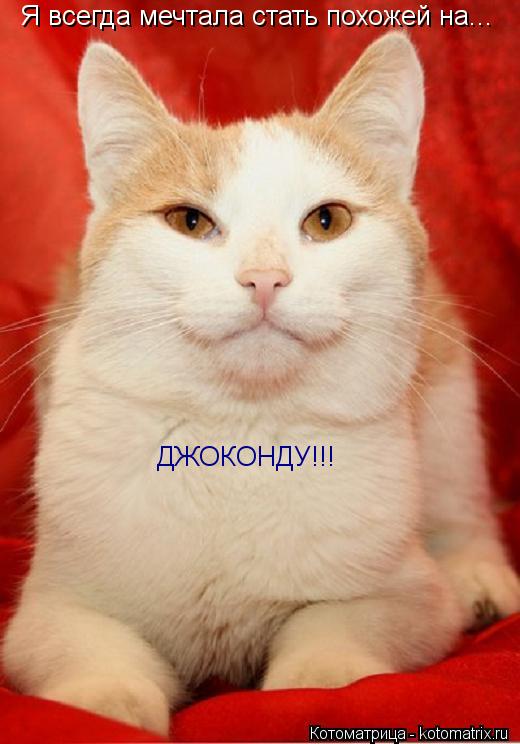 Я всегда мечтала стать похожей на... ДЖОКОНДУ!!!... Котоматрица: Я всегда мечтала стать похожей на... ДЖОКОНДУ!!!