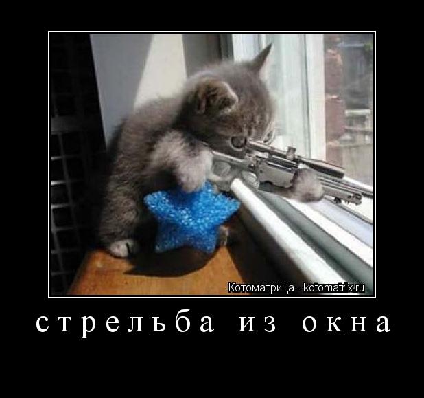 Котоматрица: стрельба из окна 