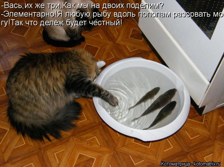 -Вась,их же три.Как мы на двоих поделим? -Элементарно!Я любую рыбу вдоль пополам разорвать мо- гу!Так... Котоматрица: -Вась,их же три.Как мы на двоих поделим? -Элементарно!Я любую рыбу вдоль пополам разорвать мо- гу!Так что делёж будет честный!