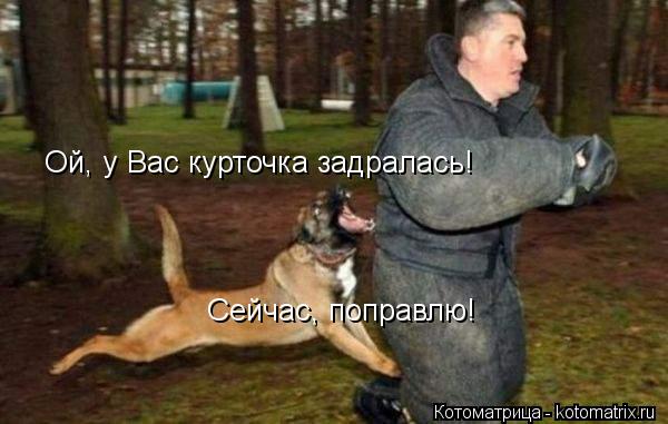 Ой, у Вас курточка задралась! Сейчас, поправлю!... Котоматрица: Ой, у Вас курточка задралась! Сейчас, поправлю!