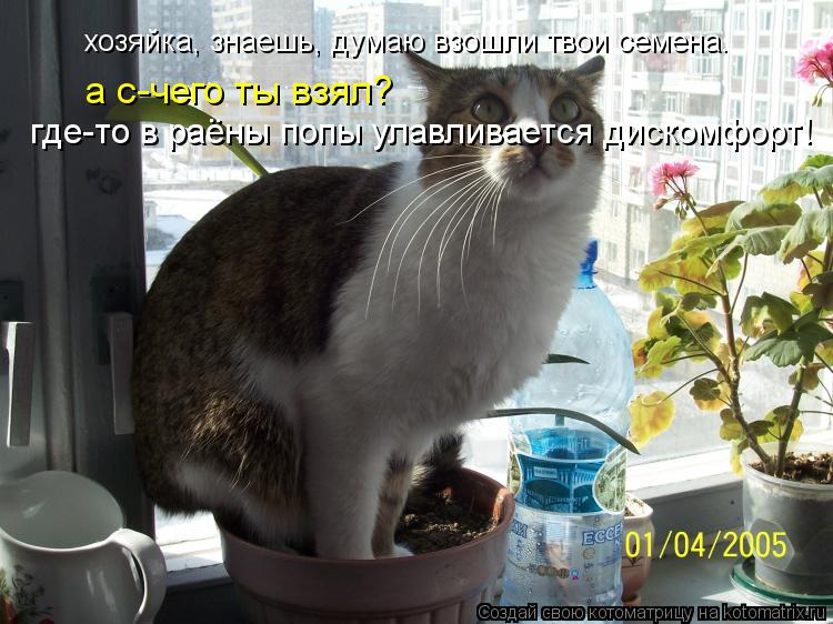 хозяйка, знаешь, думаю взошли твои семена. а с-чего ты взял? где-то в раёны попы улавливается дискомф... Котоматрица: хозяйка, знаешь, думаю взошли твои семена. а с-чего ты взял? где-то в раёны попы улавливается дискомфорт!