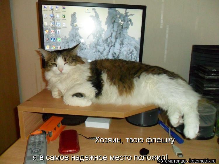 Хозяин, твою флешку я в самое надежное место положил!... Котоматрица: Хозяин, твою флешку я в самое надежное место положил!